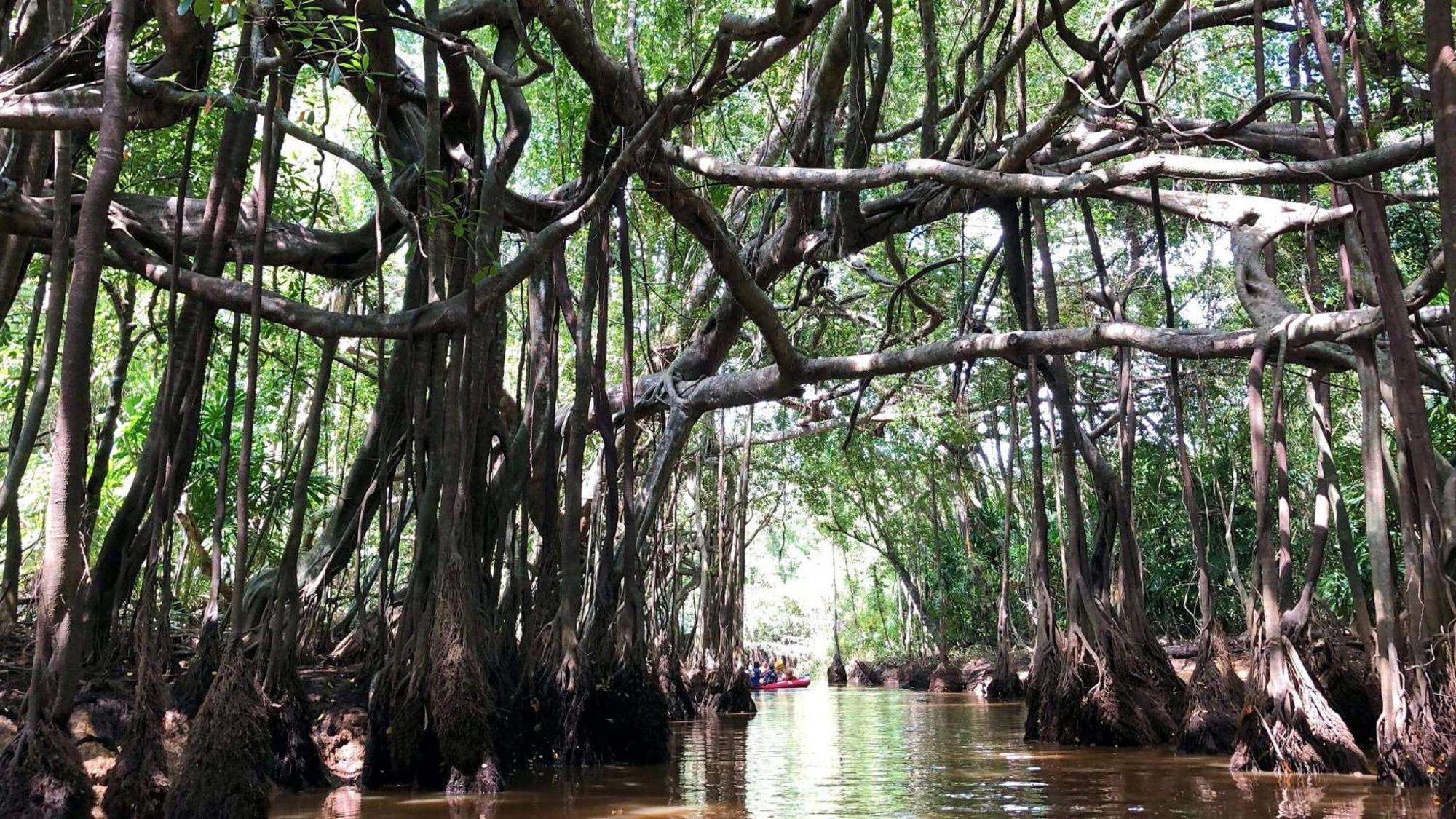 Baan Krating Khao Lak Resort - Sha Plus Eksteriør bilde