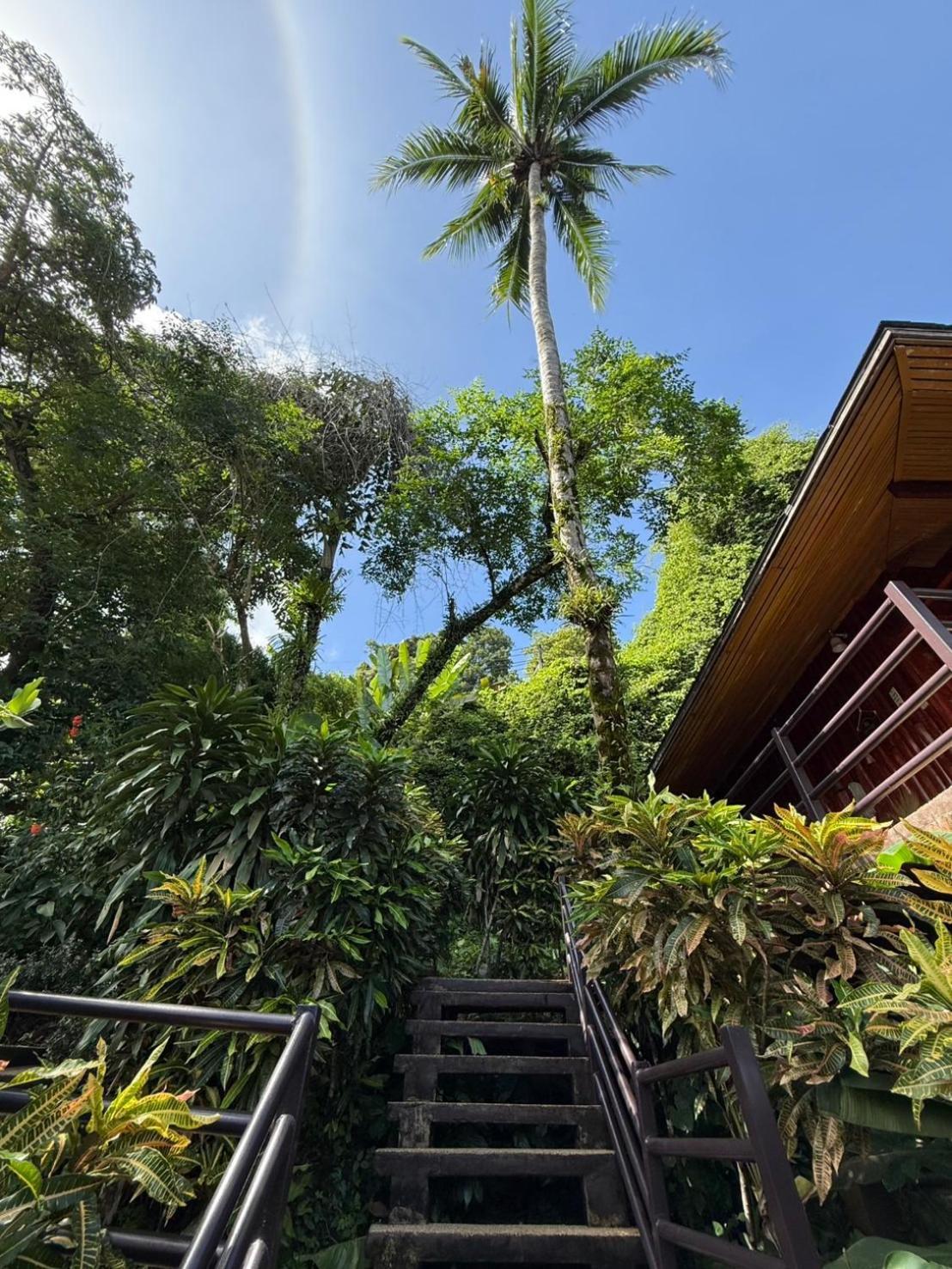 Baan Krating Khao Lak Resort - Sha Plus Eksteriør bilde